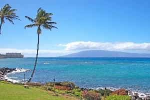 Polynesian Shores