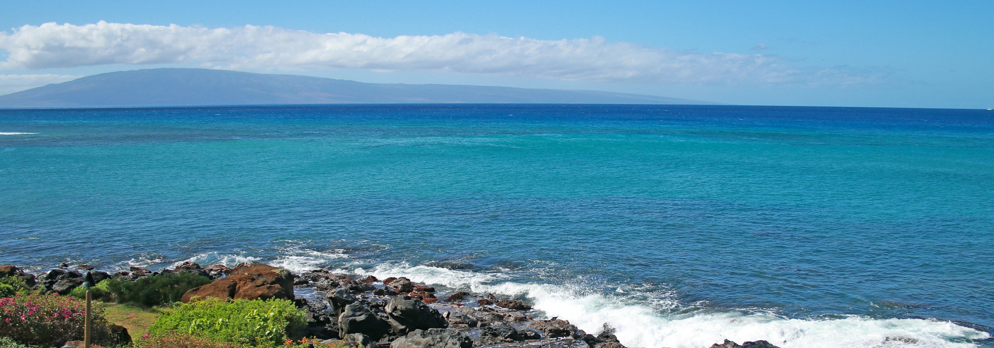 Polynesian Shores Covid Information